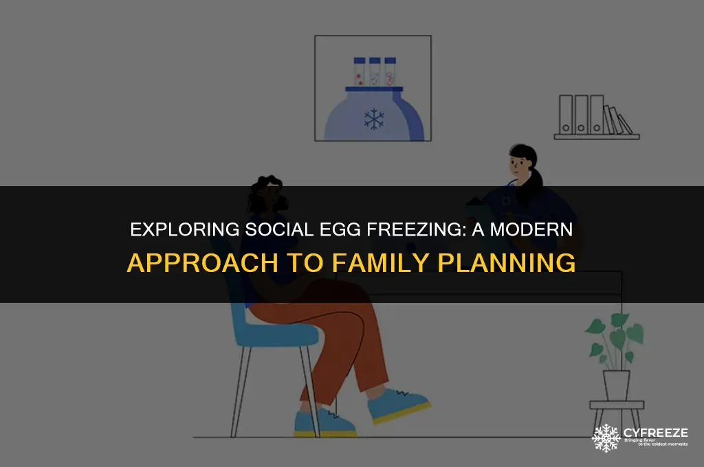 what is social egg freezing