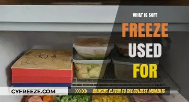 Soft Freeze Explained: Uses and Benefits in Food Preservation
