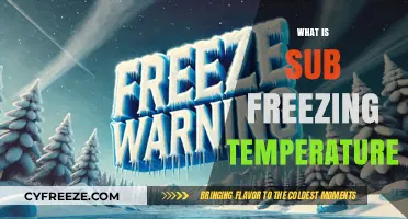 Understanding Sub-Freezing Temperatures: Causes, Effects, and Survival Tips