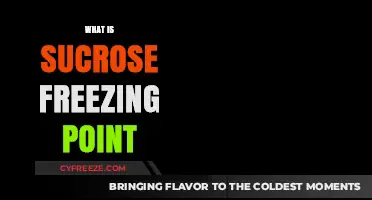 Understanding Sucrose Freezing Point: Science, Applications, and Practical Insights