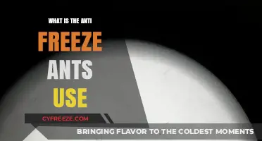 How Ants Survive Winter: The Secret of Their Natural Antifreeze