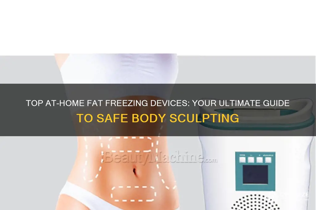 what is the best fat freezer for at home use