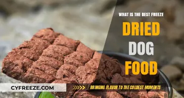 Top Freeze-Dried Dog Food Options: A Comprehensive Guide