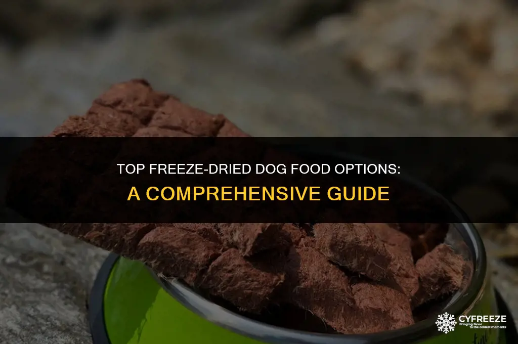 what is the best freeze dried dog food