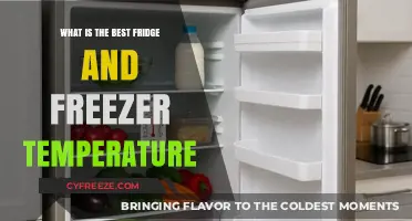 Optimal Fridge and Freezer Temperatures for Food Safety and Freshness