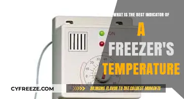 Accurate Freezer Temperature Monitoring: The Ultimate Indicator Guide