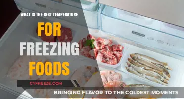 Optimal Freezing Temperatures: Preserving Food Quality and Safety Effectively