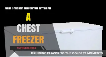 Optimal Chest Freezer Temperature: A Guide to Perfect Food Preservation