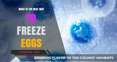Master the Art of Freezing Eggs: A Simple, Effective Guide