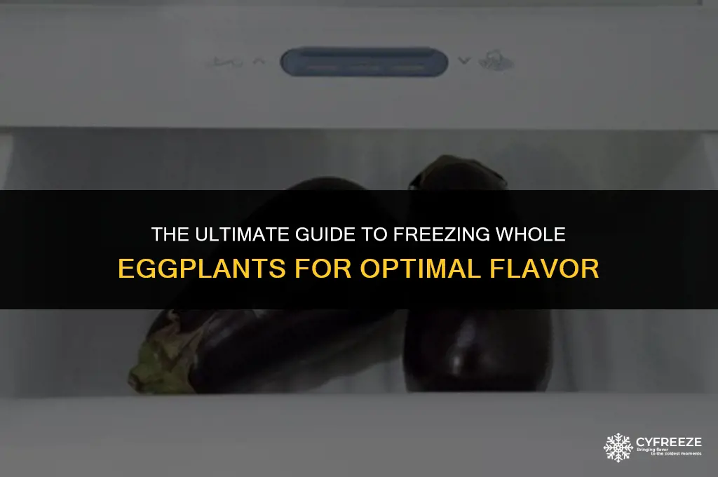 what is the best way to freeze whole egg eggplants