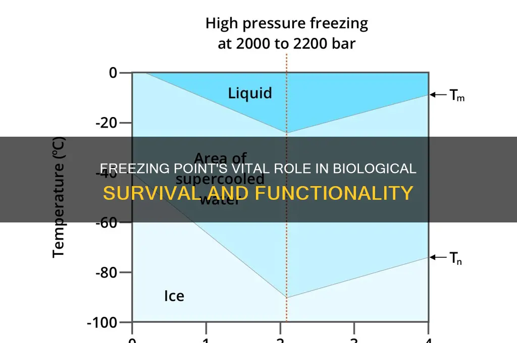 what is the biological importance of freezing point