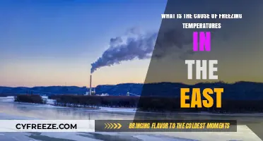 Understanding the Polar Vortex: Cause of Freezing Temperatures in the East