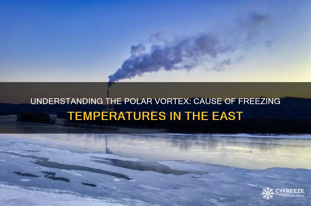 what is the cause of freezing temperatures in the east
