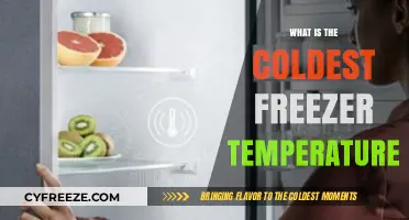 Chilling Facts: Understanding the Coldest Freezer Temperature for Optimal Storage