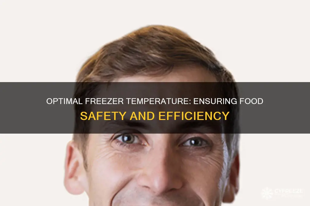 what is the correct internal temperature for a freezer