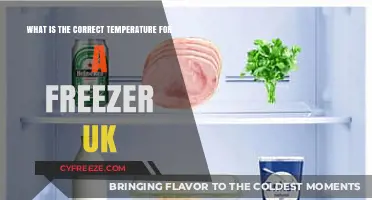 Optimal Freezer Temperature Guide for UK Households: Keep Food Fresh
