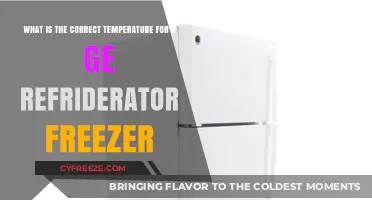 Optimal GE Refrigerator Freezer Temperature Guide for Freshness and Efficiency