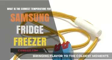 Optimal Samsung Fridge Freezer Temperature Guide for Freshness and Efficiency