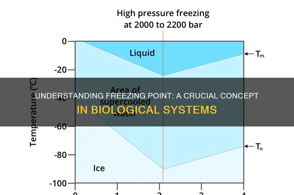 what is the definition of freezing point in biology