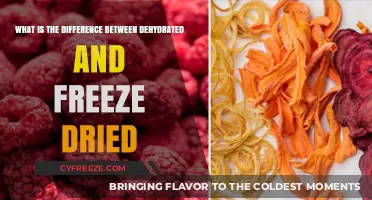 Exploring the Dehydration vs. Freeze-Drying Debate: Which Method Reigns Supreme?