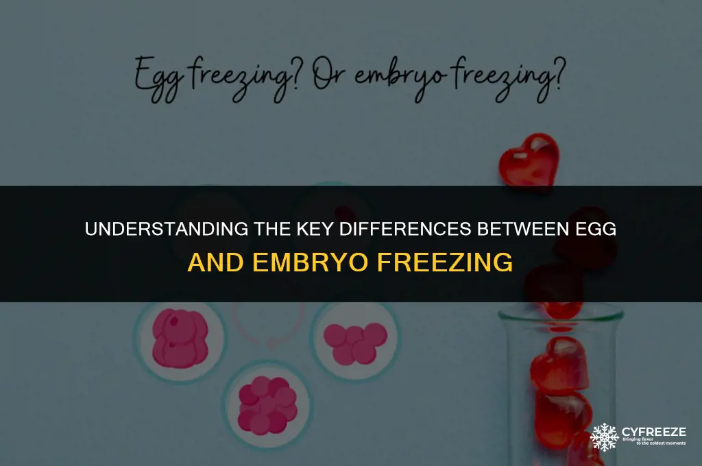 what is the difference between egg freezing and embryo freezing