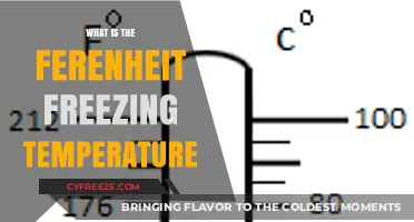 Understanding Fahrenheit: What Temperature Marks the Freezing Point?