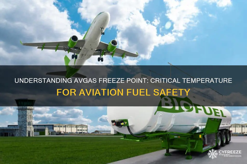 what is the freeze point of avgas