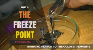 Understanding the Freeze Point: A Comprehensive Guide to Its Science