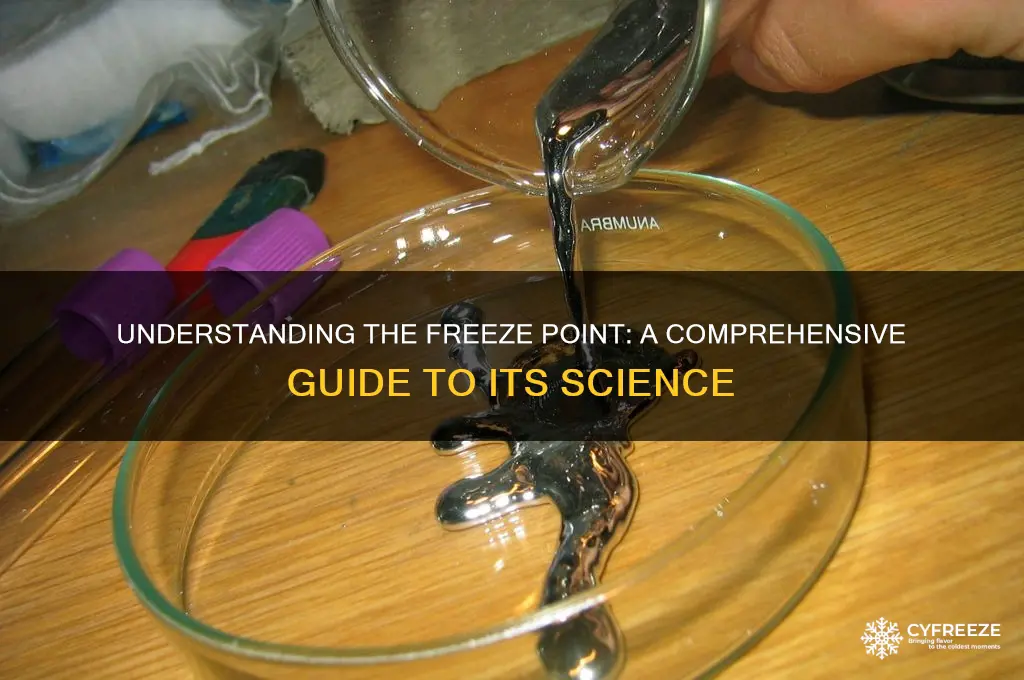 what is the freeze point