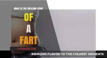 Exploring the Chilly Truth: What's the Freezing Point of a Fart?