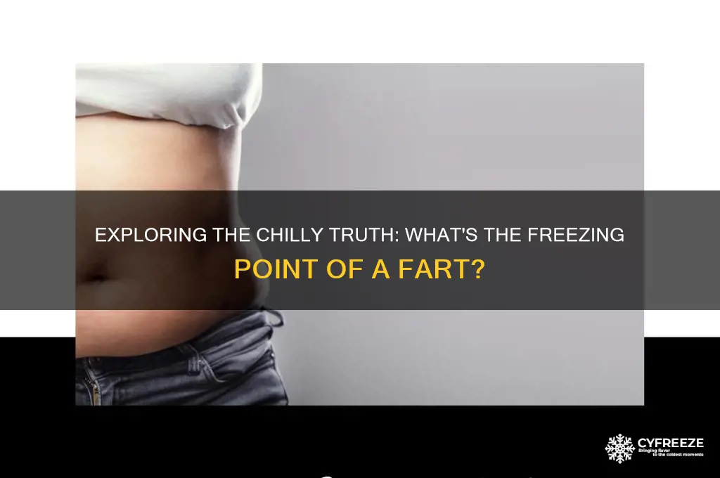 what is the freezing point of a fart