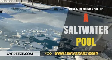 Saltwater Pool Freezing Point: Understanding Cold Weather Pool Care