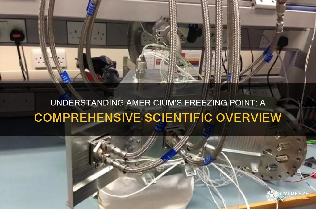 what is the freezing point of americium