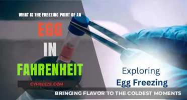 Egg Freezing Point: Understanding Fahrenheit Threshold for Preservation