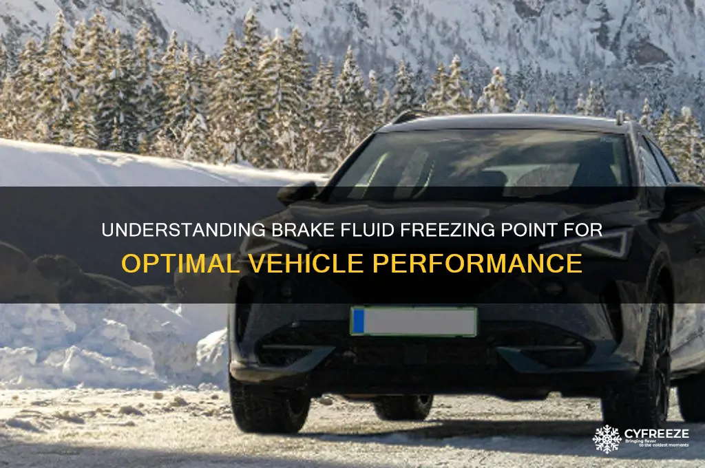 what is the freezing point of brake fluid