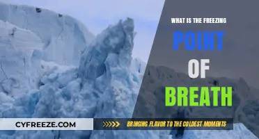 Exploring the Chilling Science: What's the Freezing Point of Breath?