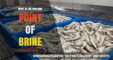 Understanding the Freezing Point of Brine: A Comprehensive Guide