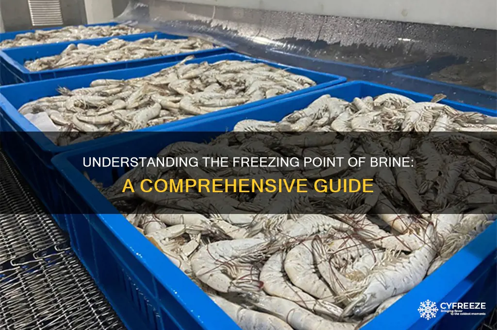 what is the freezing point of brine