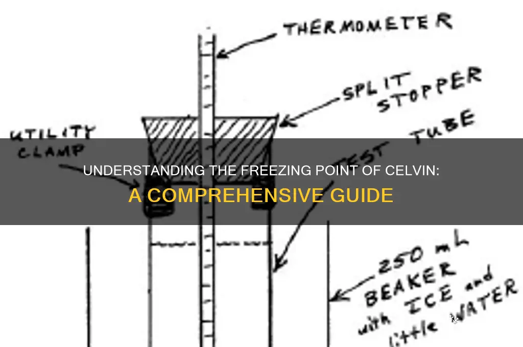 what is the freezing point of celvin