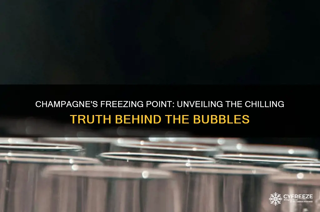 what is the freezing point of champagne