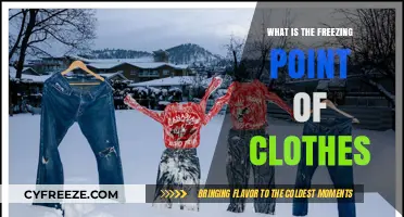 Understanding the Freezing Point of Clothes: A Comprehensive Guide