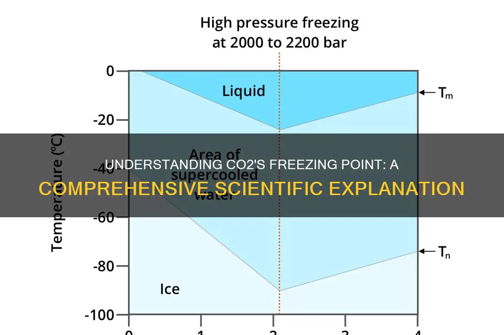 what is the freezing point of co2