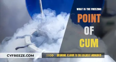 Exploring the Science: What is the Freezing Point of Cum?