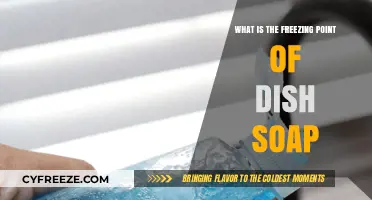 Understanding the Freezing Point of Dish Soap: A Comprehensive Guide