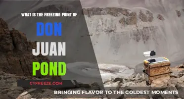 Don Juan Pond's Freezing Point: Unraveling Antarctica's Saltiest Mystery