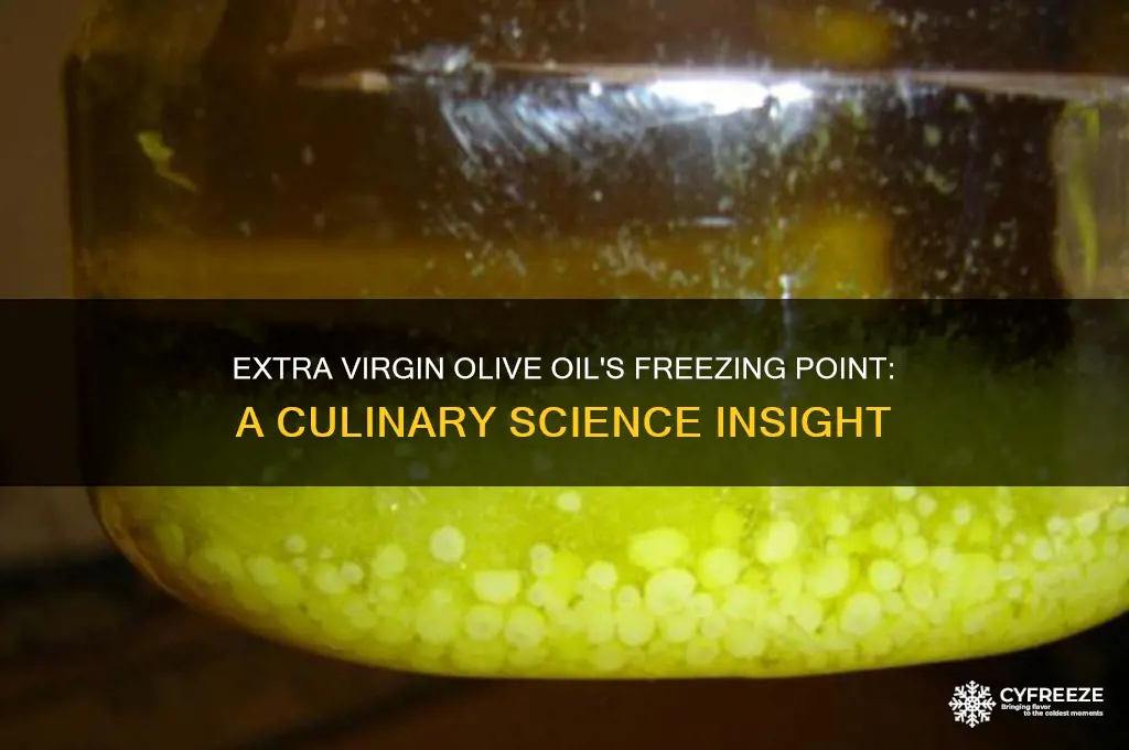 what is the freezing point of extra virgin olive oil