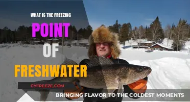 Understanding the Freezing Point of Freshwater: A Comprehensive Guide