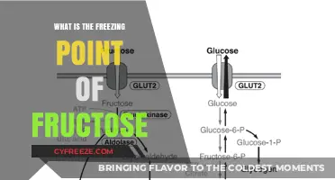 Understanding Fructose: Its Freezing Point and Culinary Applications Explained