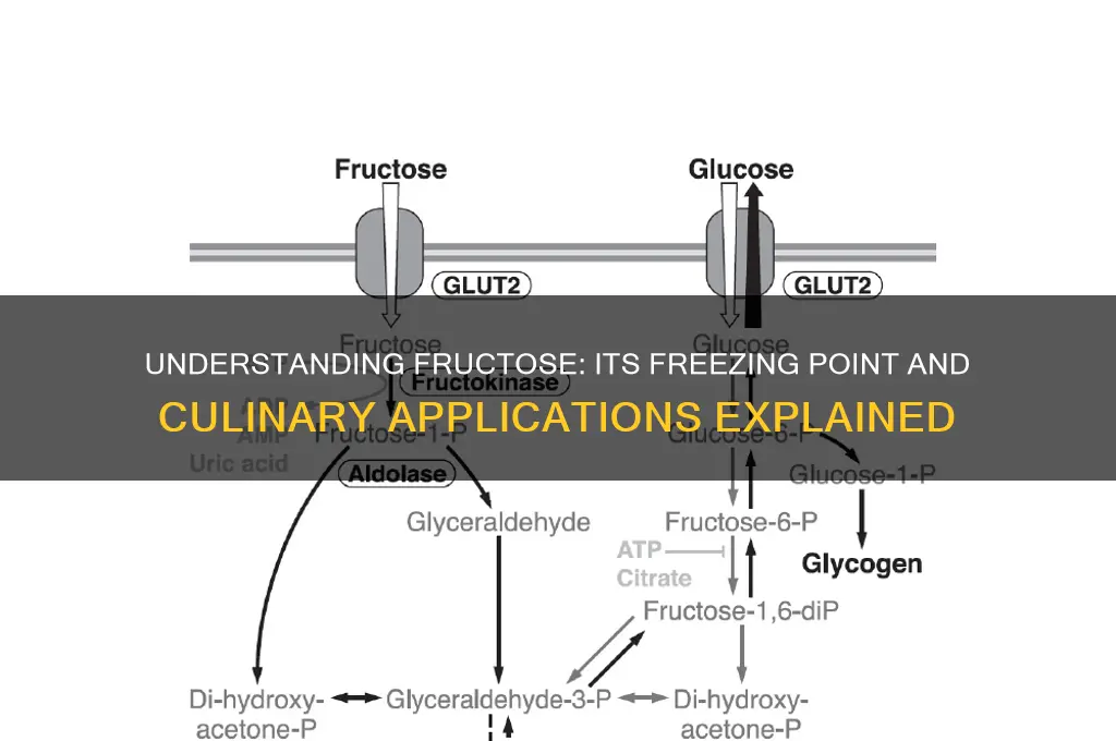 what is the freezing point of fructose