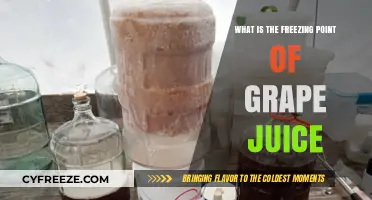 Discovering the Freezing Point of Grape Juice: A Complete Guide